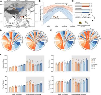 Microbial communities are thermally more sensitive in warm-climate lizards compared with their cold-climate counterparts